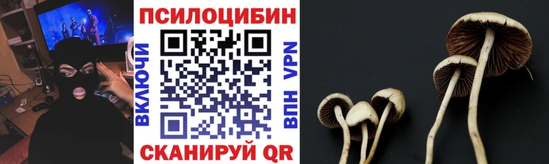 Псилоцибиновые грибы Psilocybine cubensis  Приволжский 